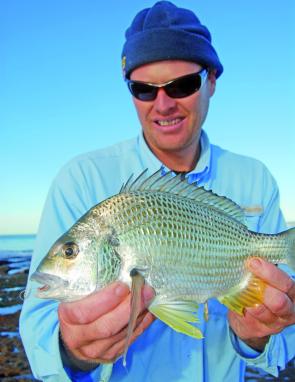 John Grant caught this bream he caught while fishing for pigs with bread baits at Norah Head.